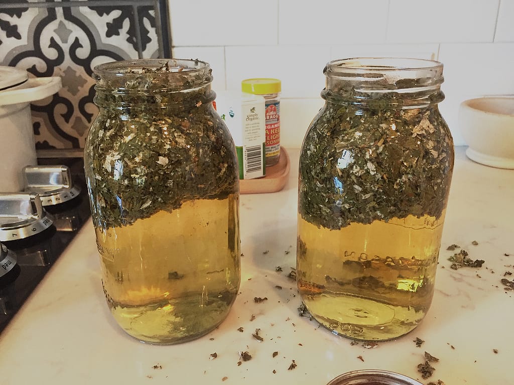 Red Raspberry Leaf Tea Infusion