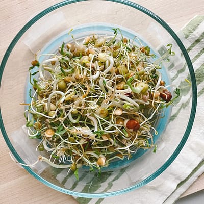 Homemade Sprouts