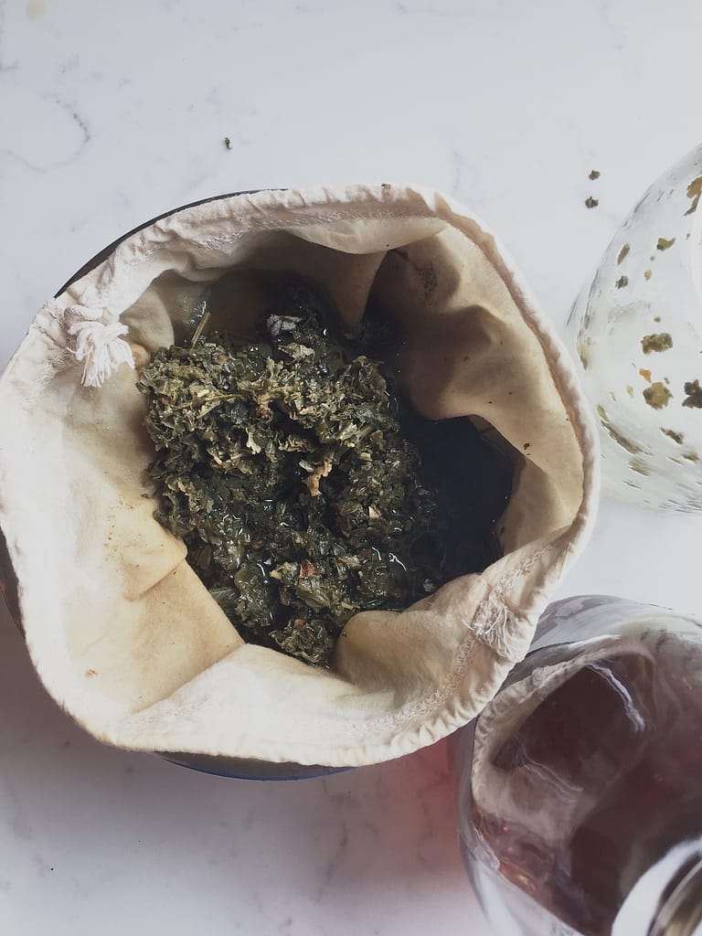 Red Raspberry Leaf Tea Infusion