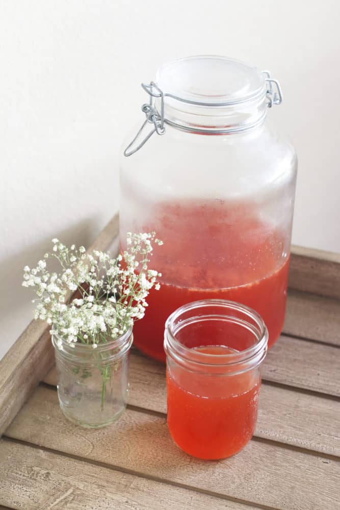 Homemade Strawberry Kombucha